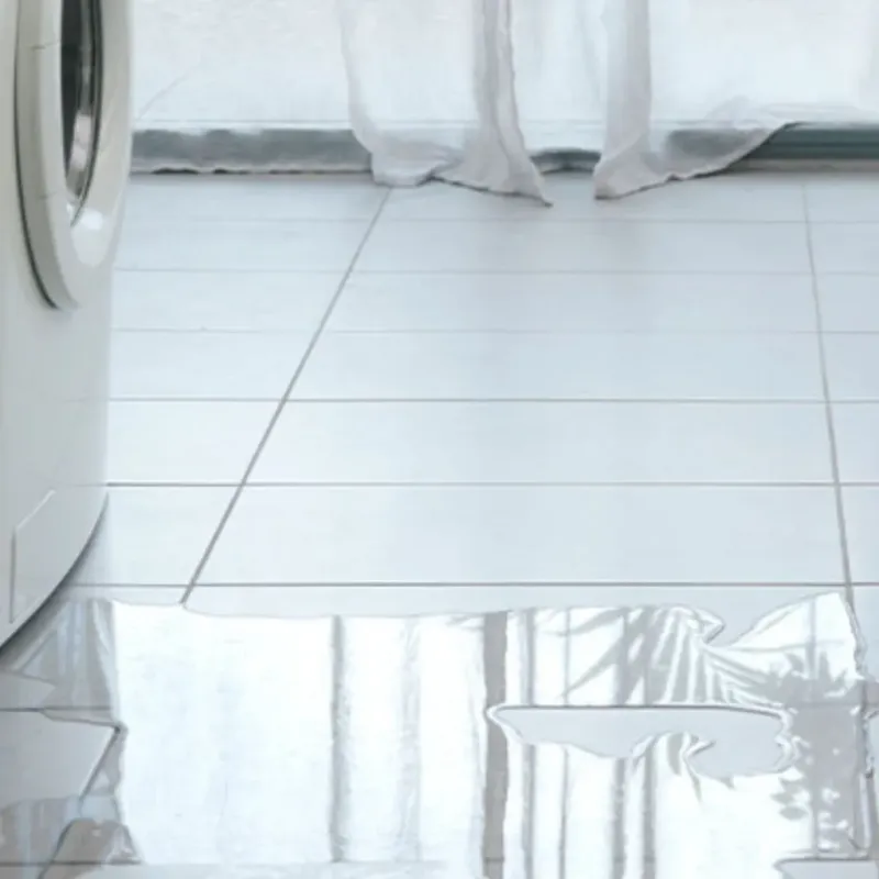 Appliance Leak Cleanup in Anna, IL