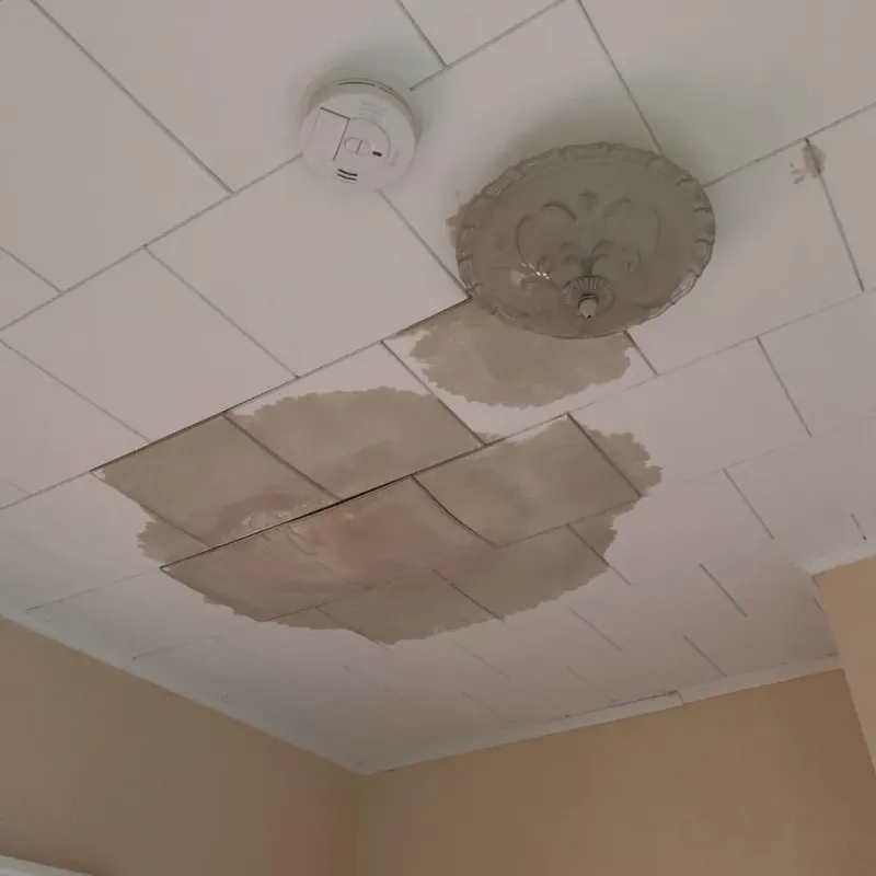 Ceiling Water Damage Repair in Anna, IL