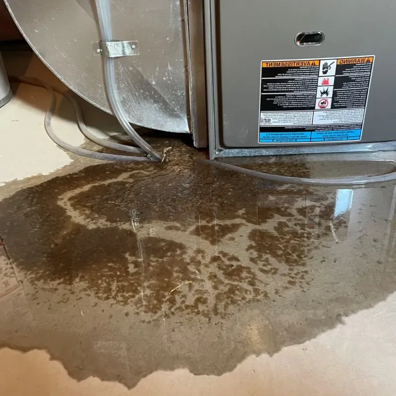 Pipe Burst and Leak Restoration in Anna, IL