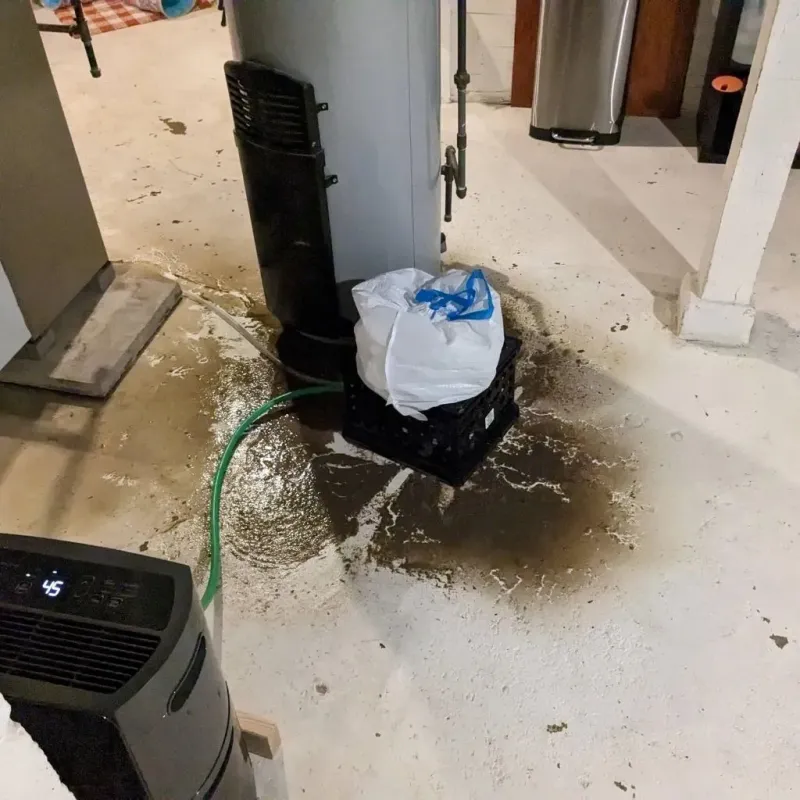 Sewage Backup Cleanup Service in Anna, IL